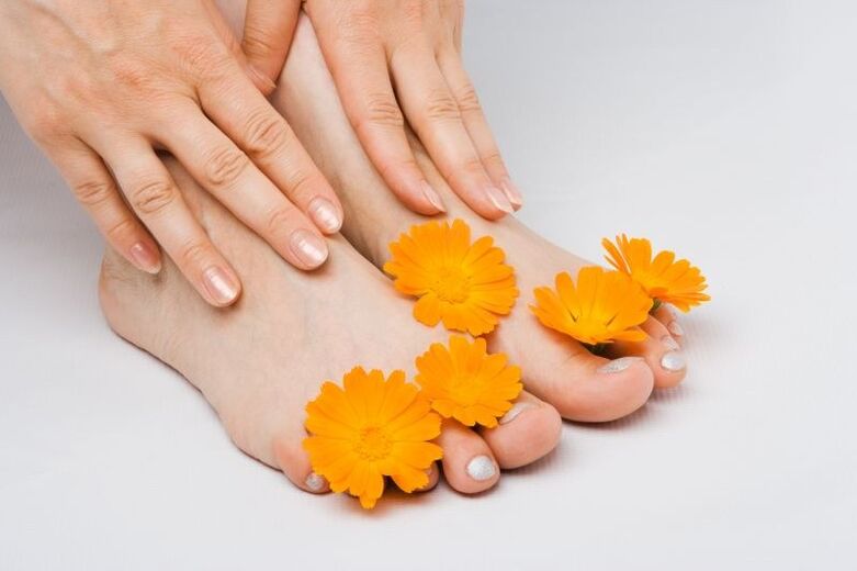 calendula flowers for toenail fungus
